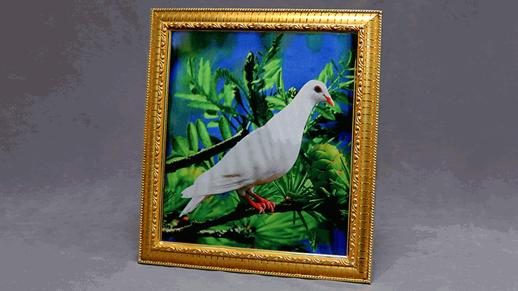 Dove Frame (DELUXE) Magic -Jassher Magic Shop